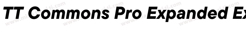TT Commons Pro Expanded ExtraBold字体转换